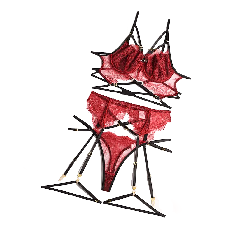 Ensemble de soutien-gorge et j - Sheer Bra Lace avis et prix